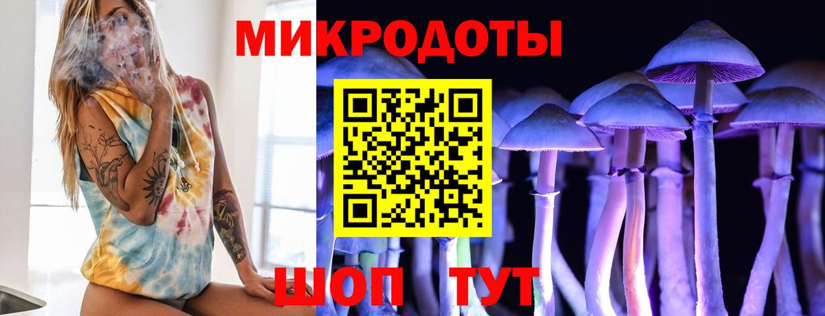 Псилоцибиновые грибы MAGIC MUSHROOMS  Вход с VPN  Надым  Псилоцибиновые грибы прущие грибы 